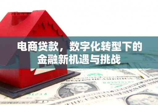 简阳电商贷款，数字化转型下的金融新机遇与挑战