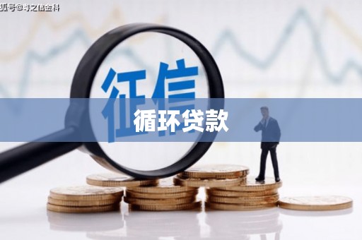 简阳循环贷款