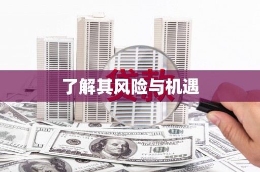 简阳了解其风险与机遇