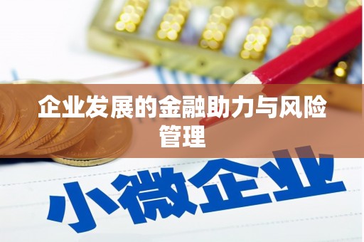 简阳企业发展的金融助力与风险管理