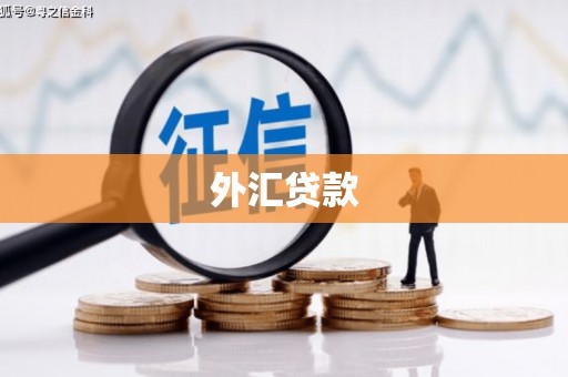 简阳外汇贷款