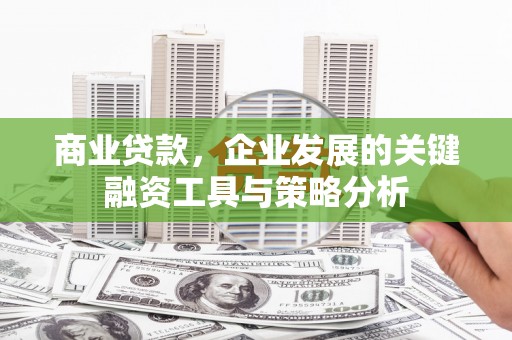 简阳商业贷款，企业发展的关键融资工具与策略分析