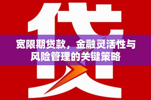 简阳宽限期贷款，金融灵活性与风险管理的关键策略