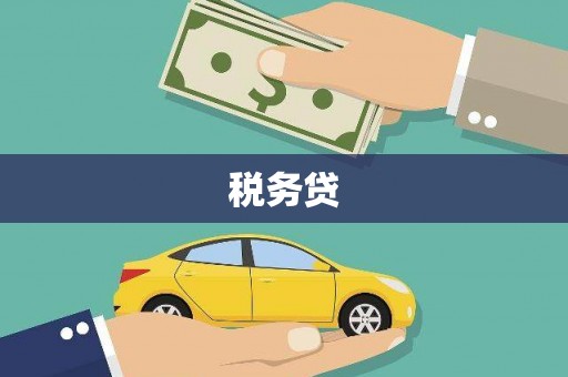 简阳税务贷