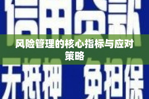 简阳风险管理的核心指标与应对策略
