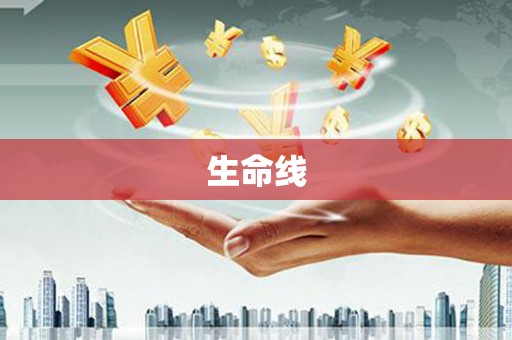 简阳生命线