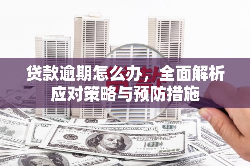 简阳贷款逾期怎么办，全面解析应对策略与预防措施