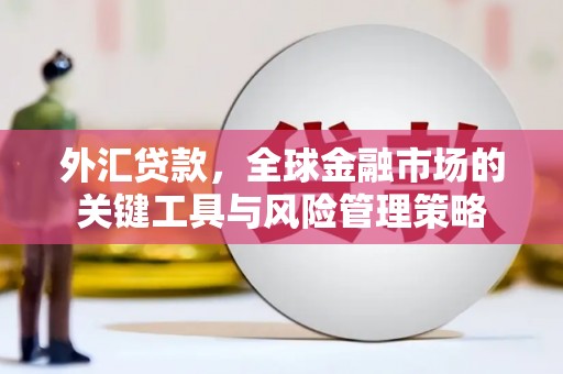 简阳外汇贷款，全球金融市场的关键工具与风险管理策略