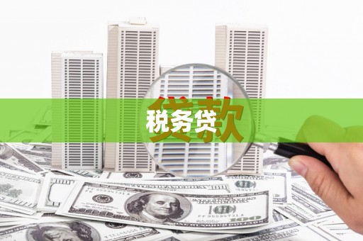 简阳税务贷