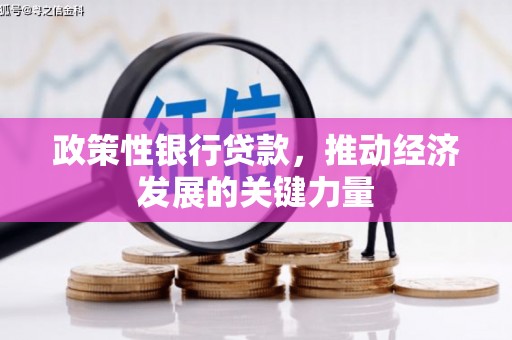 简阳政策性银行贷款，推动经济发展的关键力量