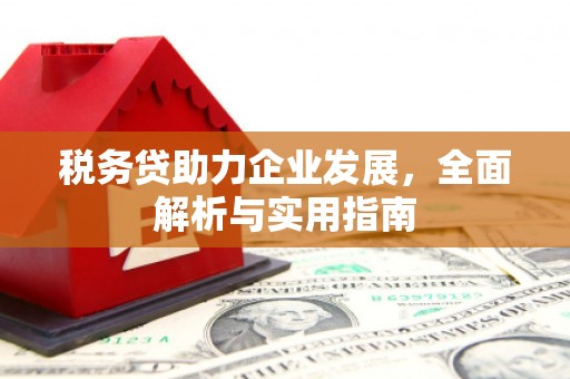 简阳税务贷助力企业发展，全面解析与实用指南