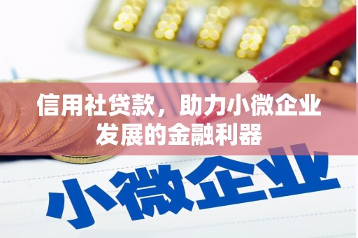 简阳信用社贷款，助力小微企业发展的金融利器