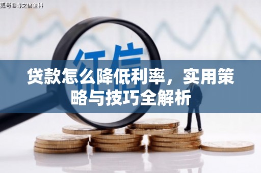 简阳贷款怎么降低利率，实用策略与技巧全解析
