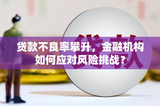 简阳贷款不良率攀升，金融机构如何应对风险挑战？