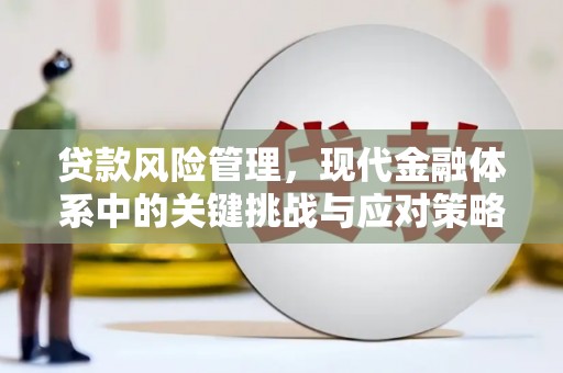 简阳贷款风险管理，现代金融体系中的关键挑战与应对策略