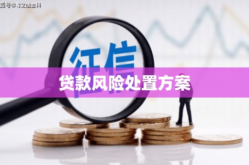 简阳贷款风险处置方案