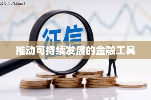 简阳推动可持续发展的金融工具