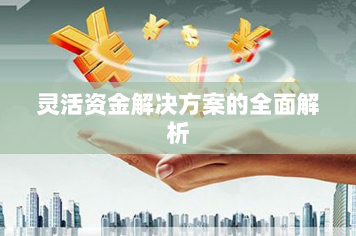 简阳灵活资金解决方案的全面解析
